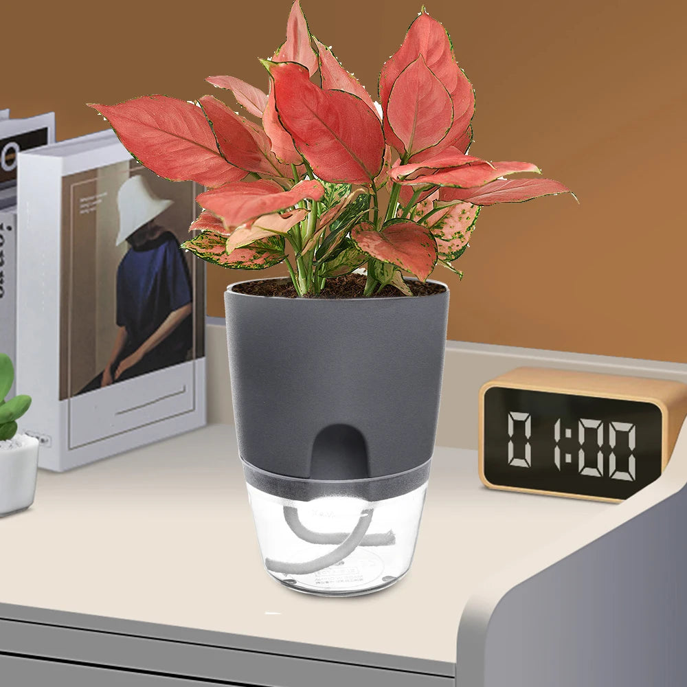 Vaso Autoirrigante Elegante