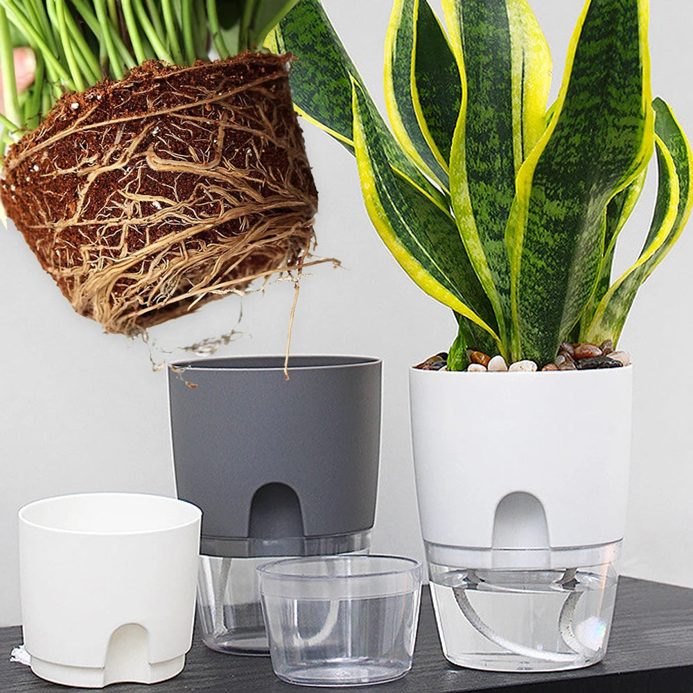 Vaso Autoirrigante Elegante