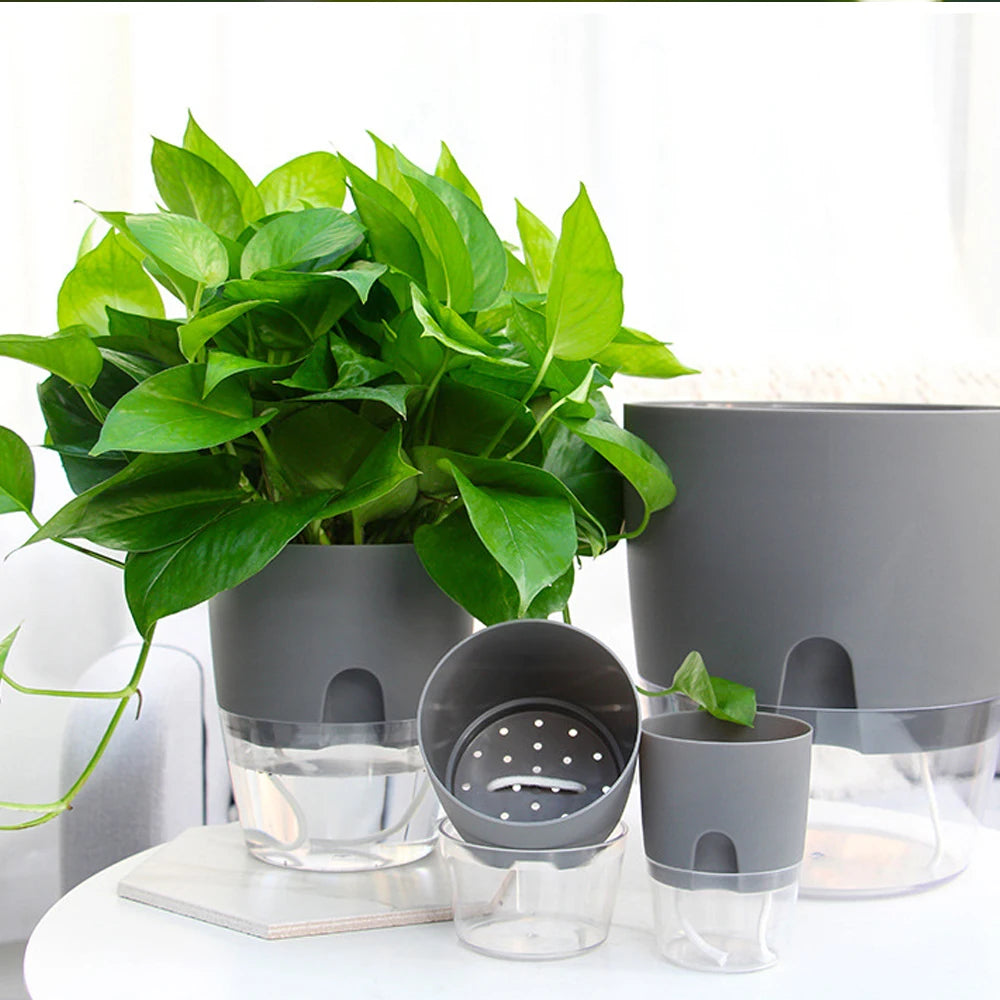 Vaso Autoirrigante Elegante